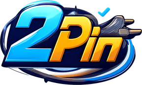 2pin